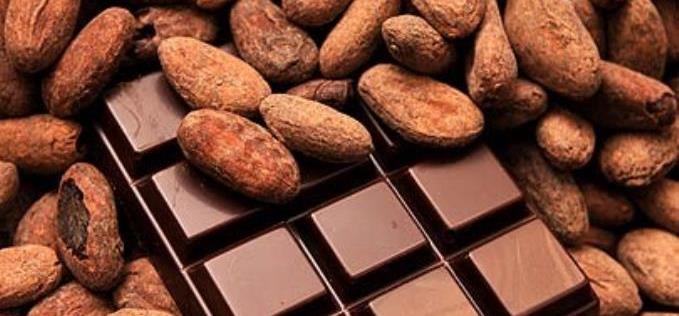 Cacao bars