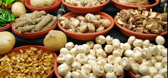 Medicinal mushrooms