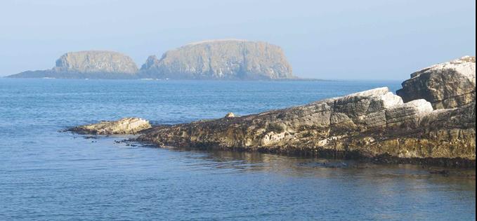 BeautifSheep Island from Ballintoy