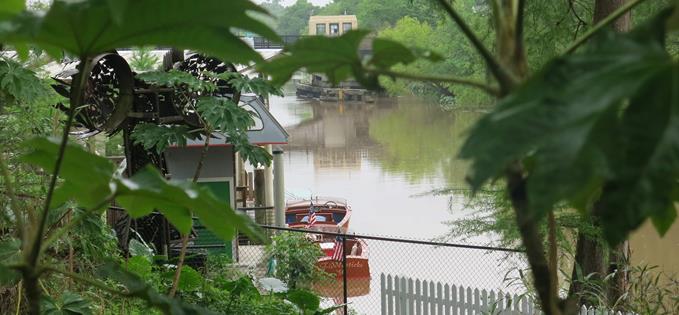 Quiet backwaters of the Bayou Teche