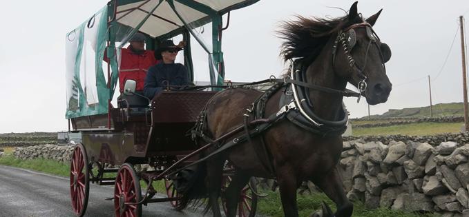 Jaunting cart