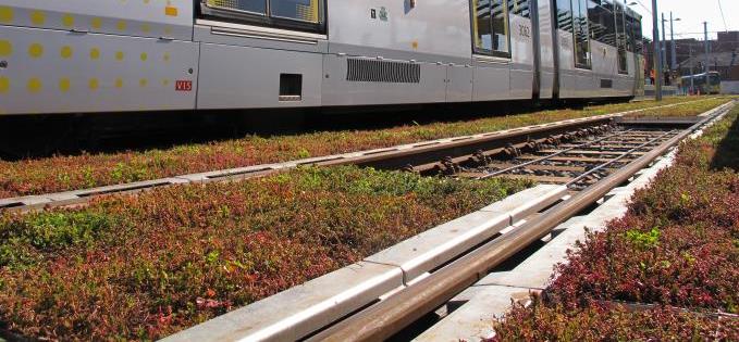 Carpeting the tracks