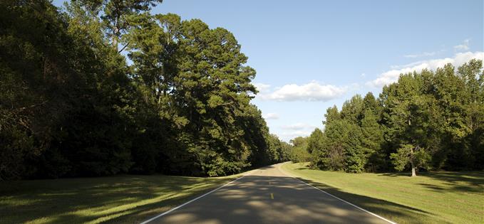 Natchez Trace Parkway