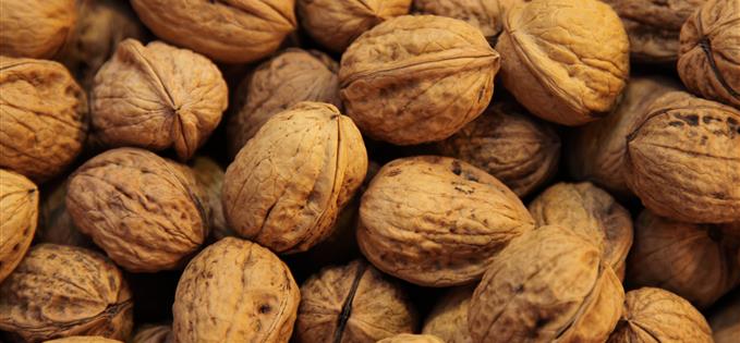 Walnuts contain omega 3 - good for brain health