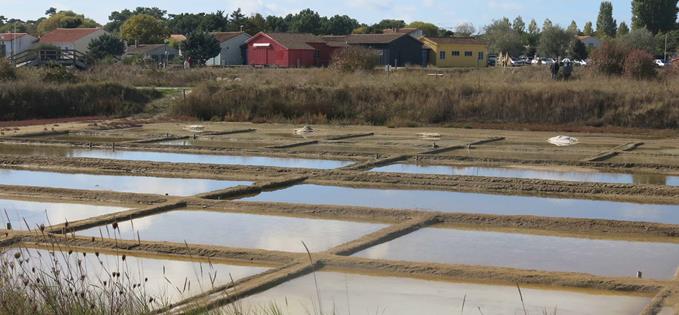 Salt pans