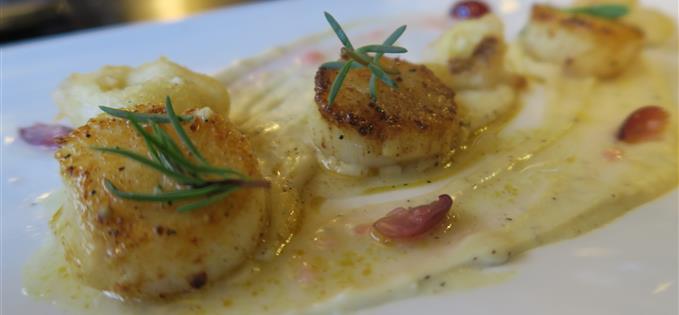 Scallops