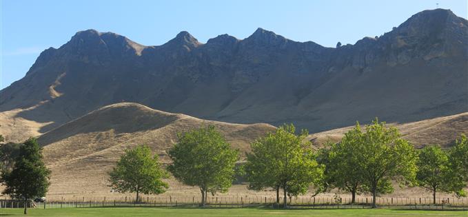 Te Mata