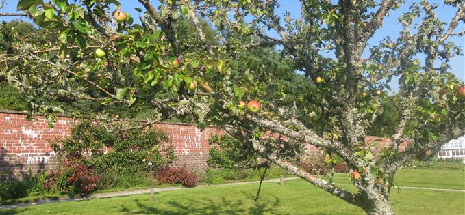 Walled garden