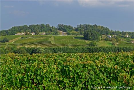 2. Vignoble Des Côtes De Bourg À Lansac