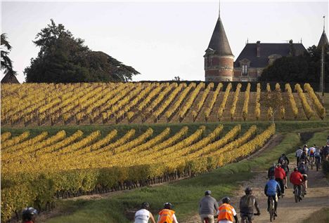 Cycling In The Vineyards