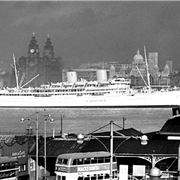 Reinadelpacificoinliverpool1954