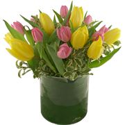 Mum's Tulips £25 - £55