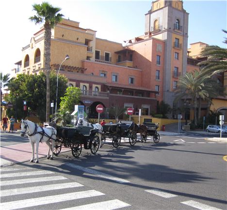 Traditional Carriages In The Main Street