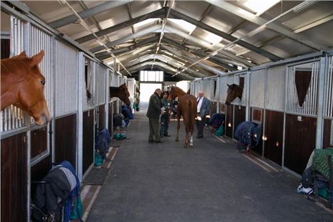 Manor House Stables, Cheshire