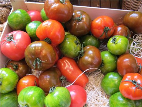 Tomatoes At Le Langhe