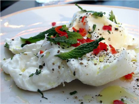 Mozzarella_Best_Of_Breed[1]