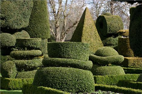 Topiary At Levens Hall