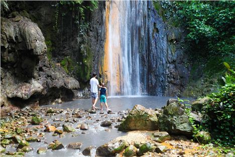 Botanic Gardens - Waterfall