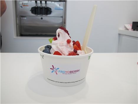 FroYo Berry, the most yoghurt-y of them all