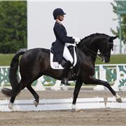 Dressage