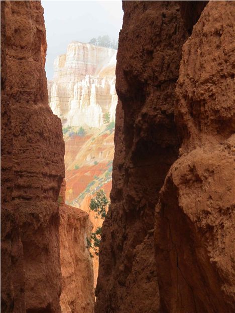 Bryce, Down Into The Navajo Loop