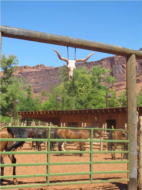 Dude Ranch At Red Cliff