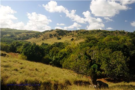 Frederica Nature Reserve