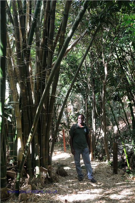 Jean-Claude Sevathian From The Mauritian Wildlife Foundation