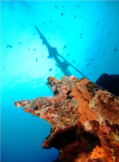 Ships Deliberately Sunk To Form Artificial Reefs