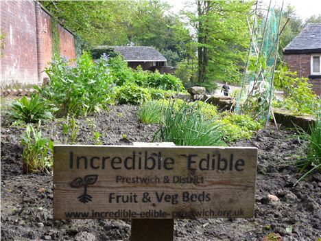 Incredible Edible at Philips Park