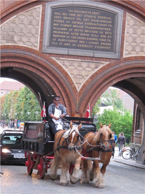 Beer Dray At Carlsberg