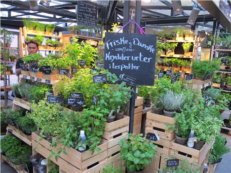 Market Herbs