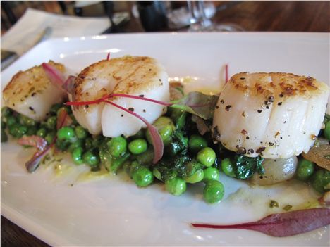 Scallops