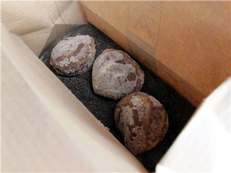 Open The Box, The Real Chestnut Deal