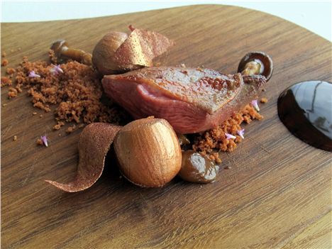 Pigeon And Hazelnuts, Err, Well Not Quite