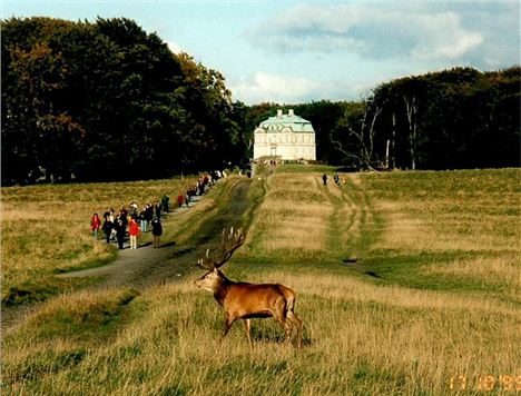 Dyrehaven Nr Klompenborg