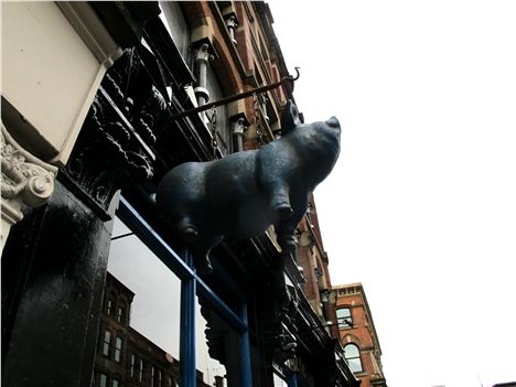 The Blue Pig itself