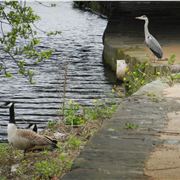 Commuters waiting for a taxi