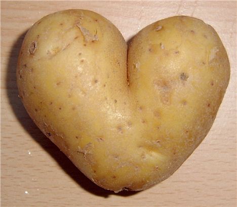 For The Love Of Spud