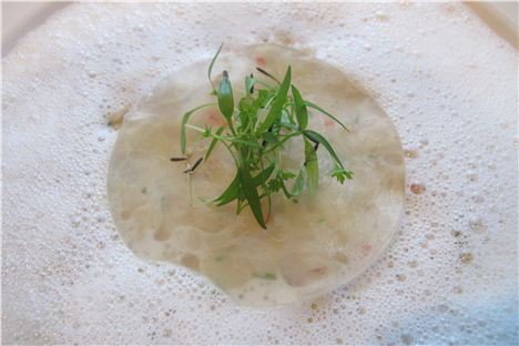 Crab risotto