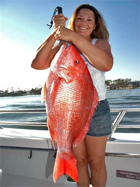 Red Snapper Catches Woman