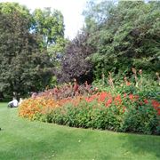 St James's Park, London