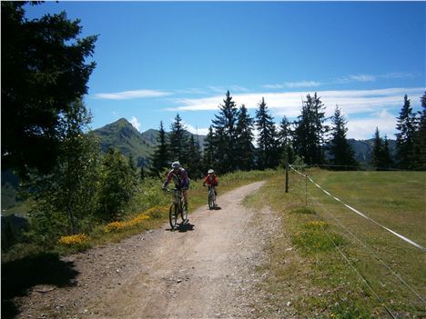 Family Biking In The Mountains