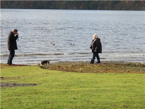 Photo-Opportunity %28Not Just Us!%29 Near Friar's Crag, Derwentwater