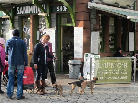 On The Leash In Keswick