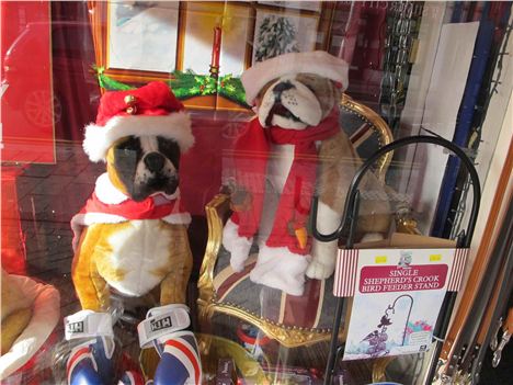 Window Display. Podgy Paws