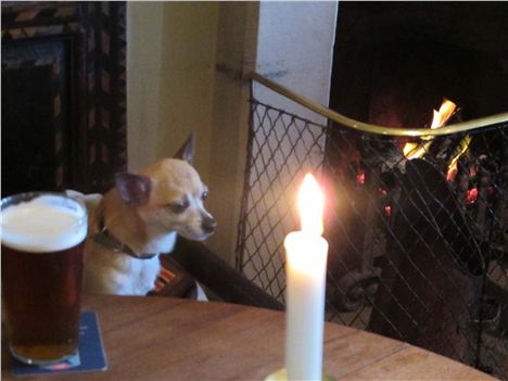 Candle, Coal Fire And Pint Of Jolly Boys Bitter In The Derby Arms