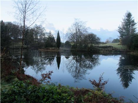 The Tarn At Linthwaite