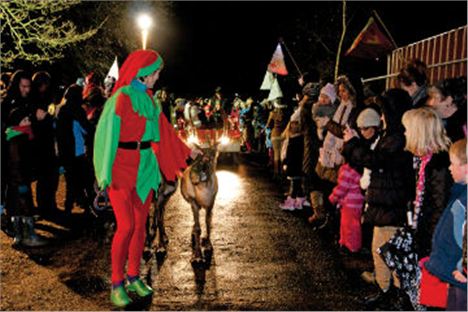 Tatton Park Lantern Parade