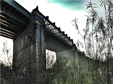 Sleuth's bridge of the week as captured by Sleuth's lovely camera on Saturday's weekend hinterland walk